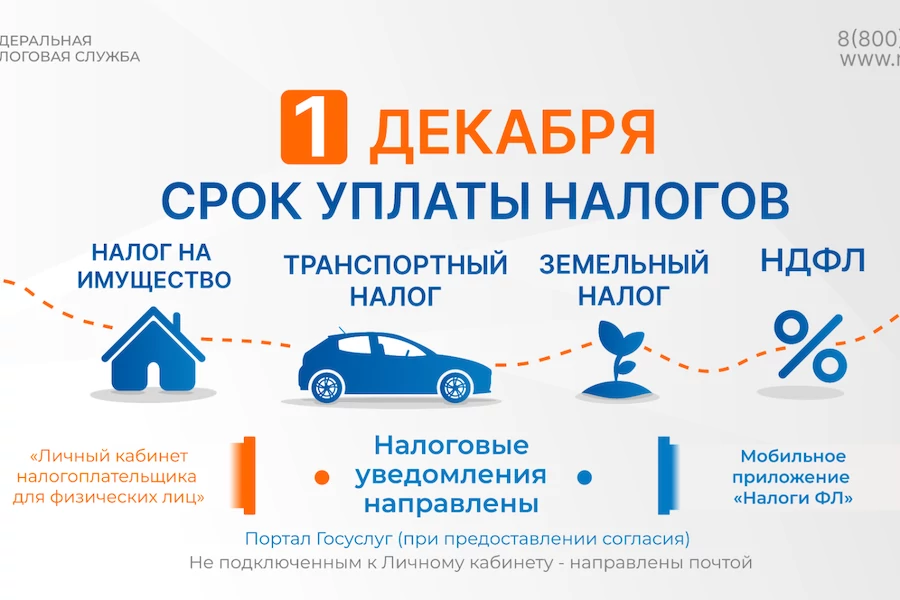 1 декабря. Срок уплаты налогов.